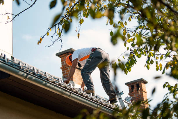 Best Roof Leak Repair  in Bemidji, MN