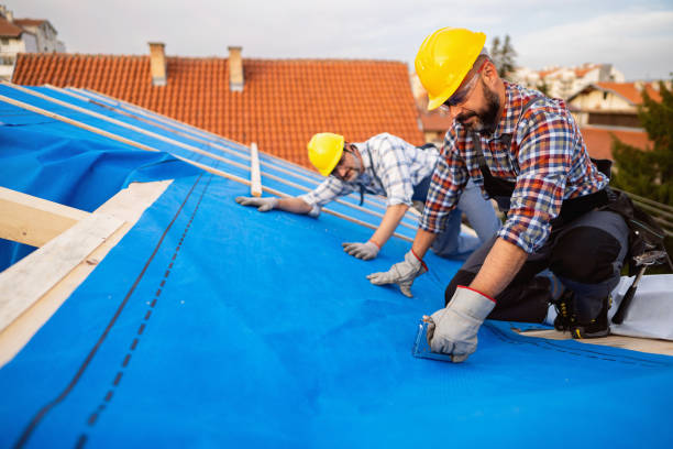 Best Roof Repair Services  in Bemidji, MN