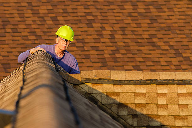 Best Roof Restoration Services  in Bemidji, MN