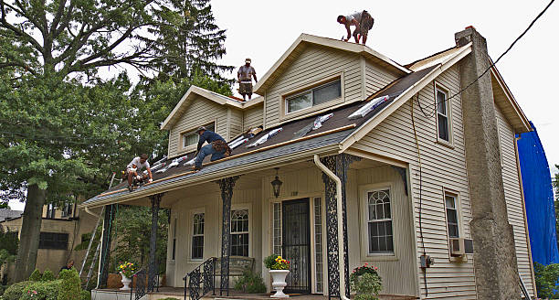 Best Slate Roofing Contractor  in Bemidji, MN