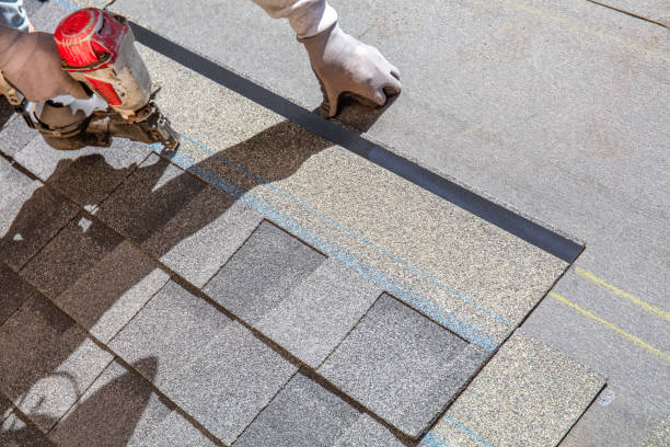 Best Roof Repair Services  in Bemidji, MN
