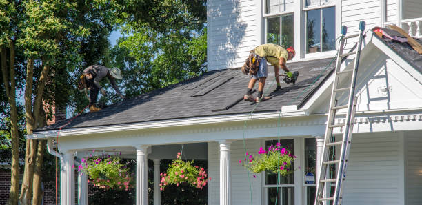 Best Residential Roofing Contractor  in Bemidji, MN